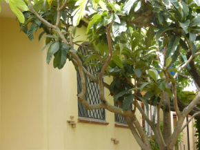 Casa Nespolo Tortoli